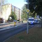 zdjęcie nr 8