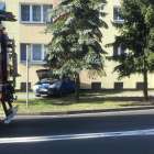 Fotka nr 3 z 10