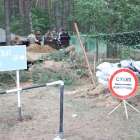 zdjęcie nr 31