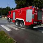 Fotka nr 2 z 17