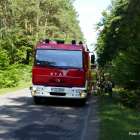 Fotka nr 3 z 12