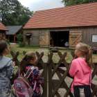 zdjęcie nr 234