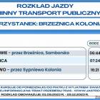 zdjęcie nr 11