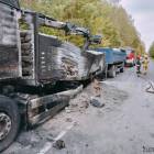 Fotka nr 3 z 17
