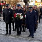 zdjęcie nr 14