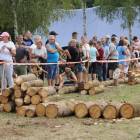 zdjęcie nr 42