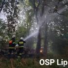zdjęcie nr 35