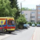 Fotka nr 2 z 5