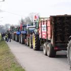 zdjęcie nr 18