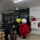 zdjęcie nr 17
