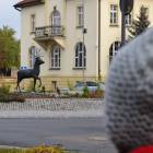 zdjęcie nr 20