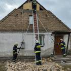 zdjęcie nr 8
