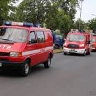 zdjęcie nr 73