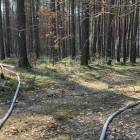 zdjęcie nr 7