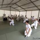 zdjęcie nr 10