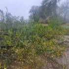 Fotka nr 3 z 10
