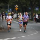 zdjęcie nr 123