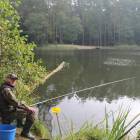 zdjęcie nr 18