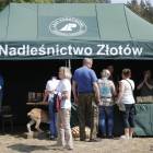 zdjęcie nr 11