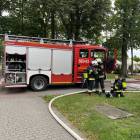 zdjęcie nr 11