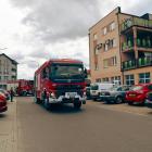 Fotka nr 5 z 9