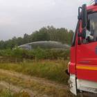 Fotka nr 3 z 21