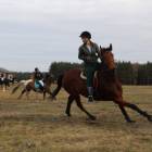 zdjęcie nr 90