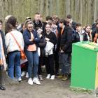 zdjęcie nr 25