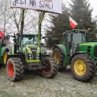zdjęcie nr 11