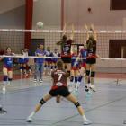 Fotka nr 5 z 34