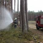 zdjęcie nr 30