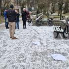 zdjęcie nr 16
