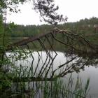 zdjęcie nr 46