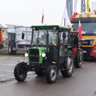 Fotka nr 2 z 13