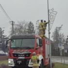 Fotka nr 4 z 8