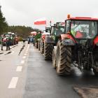 zdjęcie nr 11