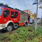 Fotka nr 2 z 7