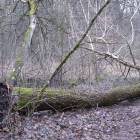 zdjęcie nr 48