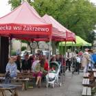 zdjęcie nr 38