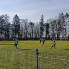 zdjęcie nr 8