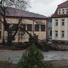 zdjęcie nr 9