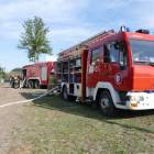 zdjęcie nr 45