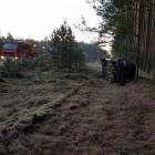 Fotka nr 5 z 7