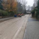Fotka nr 3 z 12