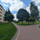 zdjęcie nr 30