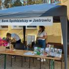 zdjęcie nr 12