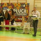 zdjęcie nr 15