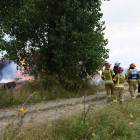 zdjęcie nr 8