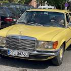 zdjęcie nr 60