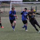 zdjęcie nr 102